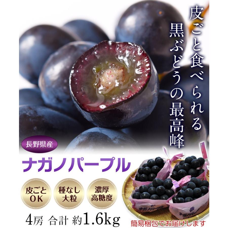 長野県産 ぶどう ナガノパープル 4房 合計 約1 6kg 常温または冷蔵 送料無料 4a 豊洲からの直送便 ヤフー店 通販 Yahoo ショッピング