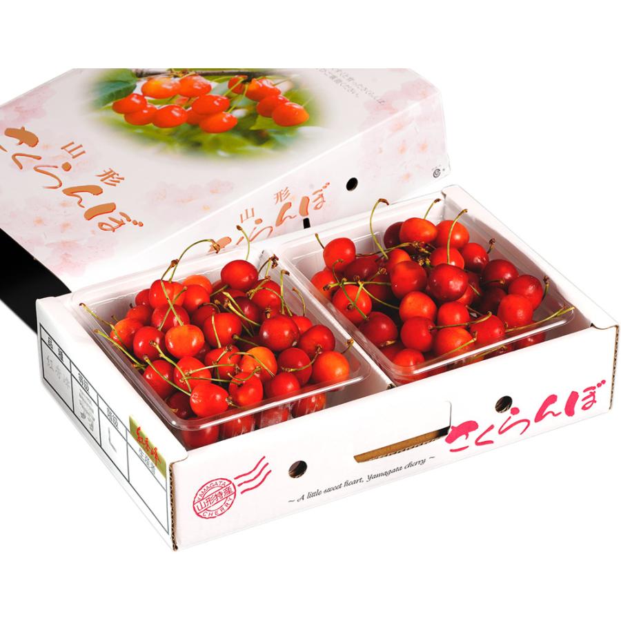 さくらんぼ 山形県産 露地さくらんぼ 「紅秀峰」 秀品 Lサイズ 約700g（約350g&times;2p） 常温 送料無料