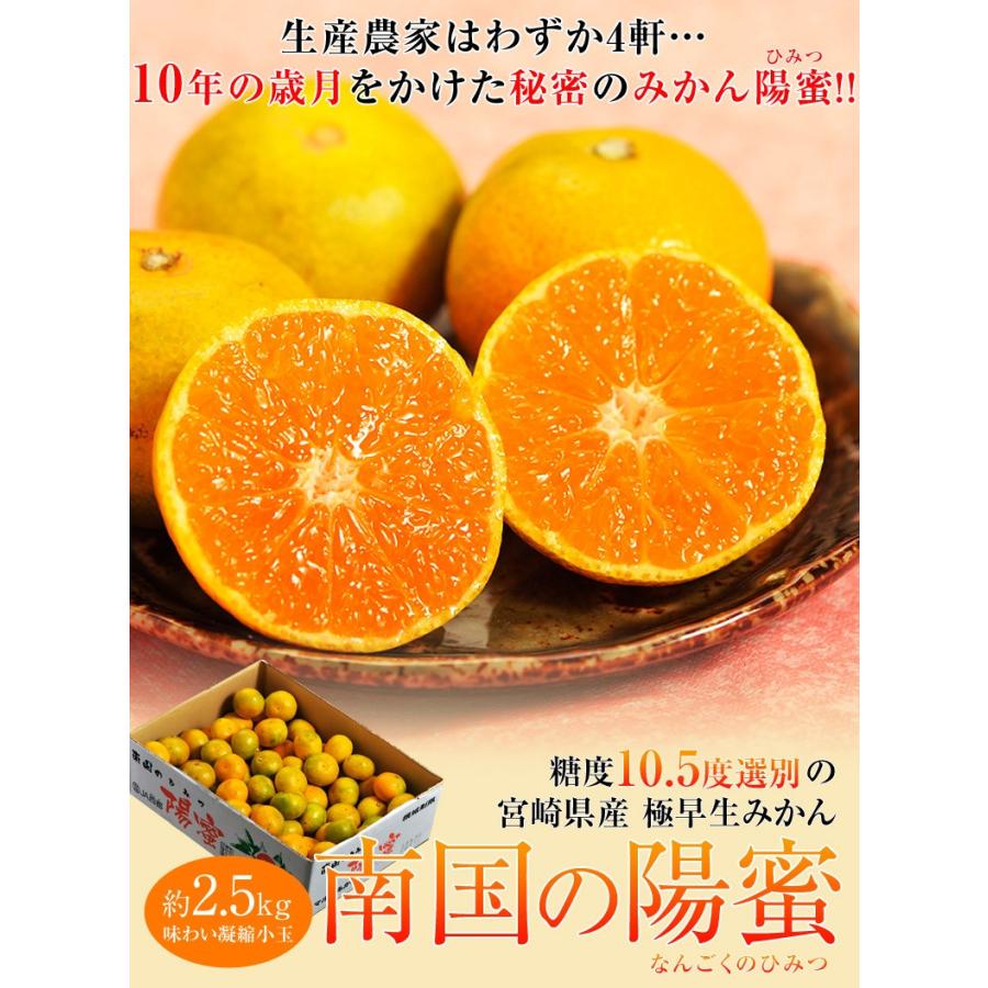 糖度10.5度以上 南国の陽蜜（ひみつ） 宮崎県産みかん 小玉 3S〜S 約