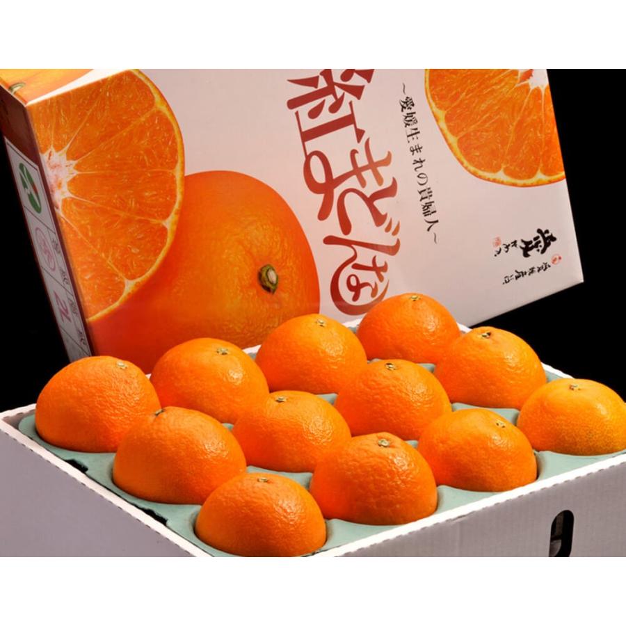 紅まどんな 愛媛県産 L〜3L 約3kg（10〜15玉) 産地化粧箱 ※常温 JAで