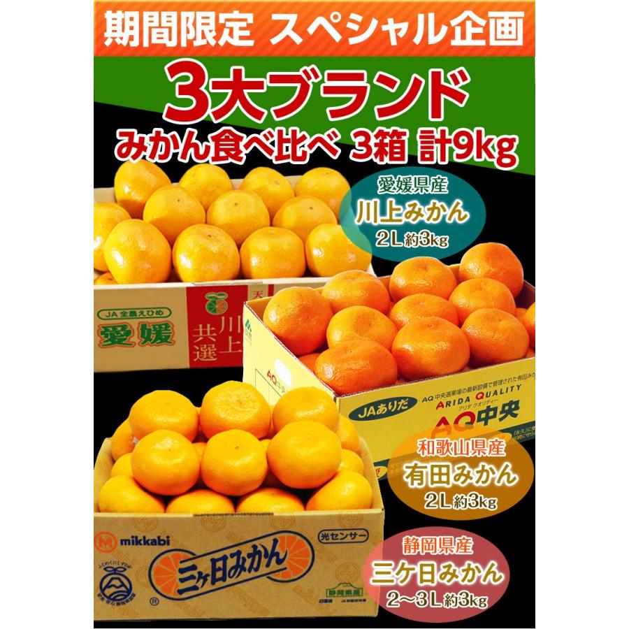 みかん 愛媛・和歌山・静岡産 3大産地みかん食べ比べセット 2〜3L