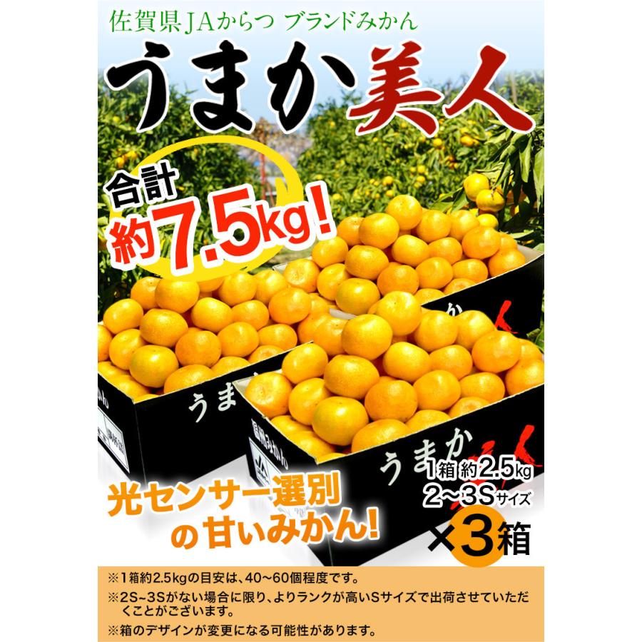 【カード又は代引き限定】JAからつ 『うまか美人』 佐賀県産 みかん 約2.5kg×3箱 小玉 2S〜3Sサイズ　※常温 送料無料 ※生育状況によってはSサイズで出荷｜tsukijiichiba｜02