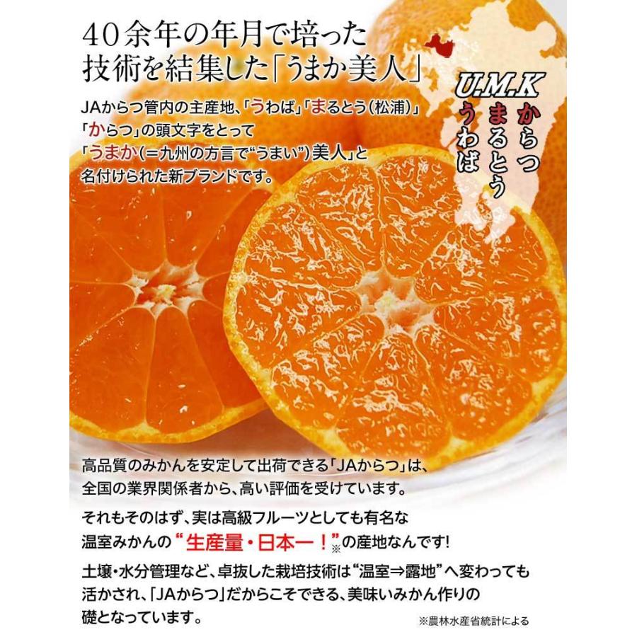 【カード又は代引き限定】JAからつ 『うまか美人』 佐賀県産 みかん 約2.5kg×3箱 小玉 2S〜3Sサイズ　※常温 送料無料 ※生育状況によってはSサイズで出荷｜tsukijiichiba｜04