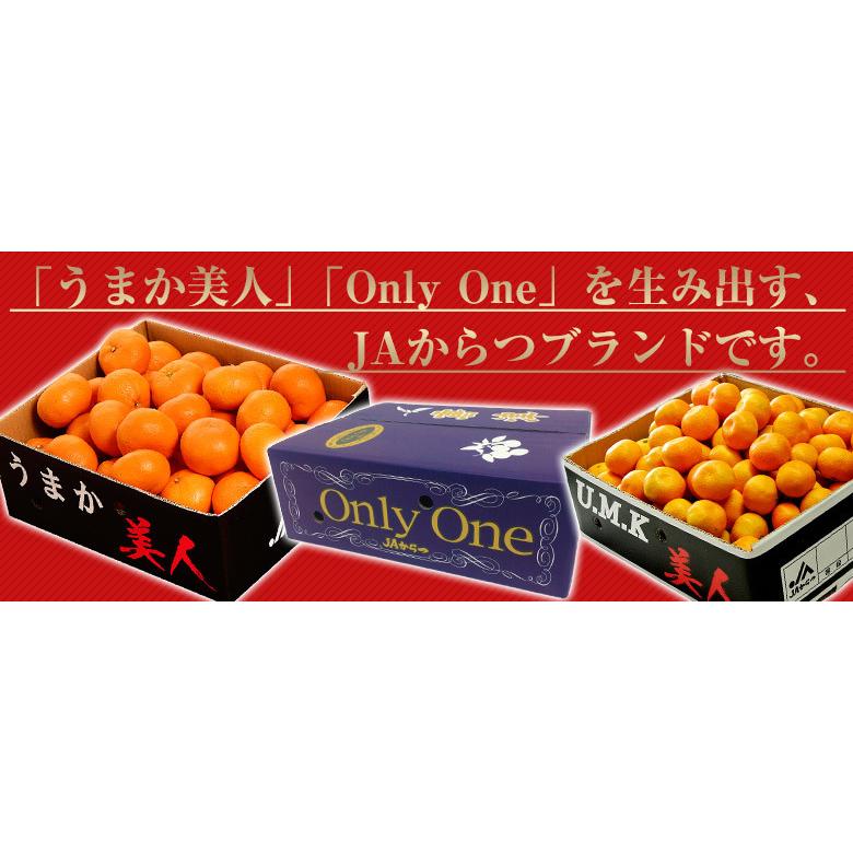 津之輝（つのかがやき） 佐賀県産 JAからつ 2S〜2Lサイズ 約5kg 産地箱