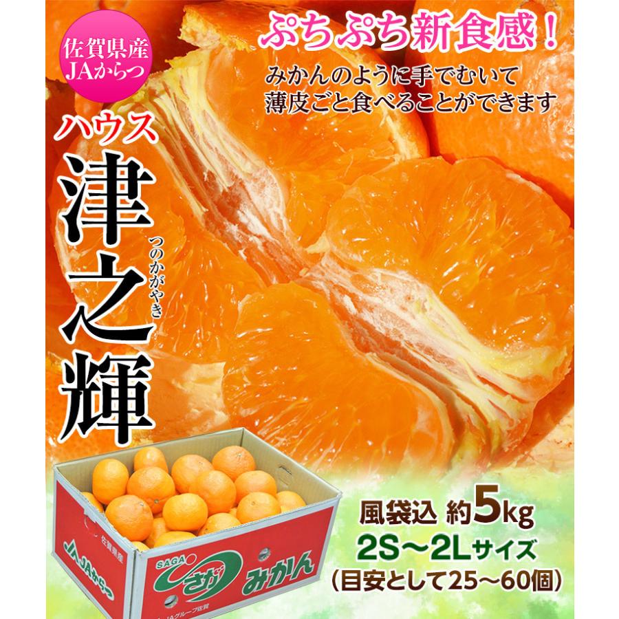 津之輝（つのかがやき） 佐賀県産 JAからつ 2S〜2Lサイズ 約5kg 産地箱