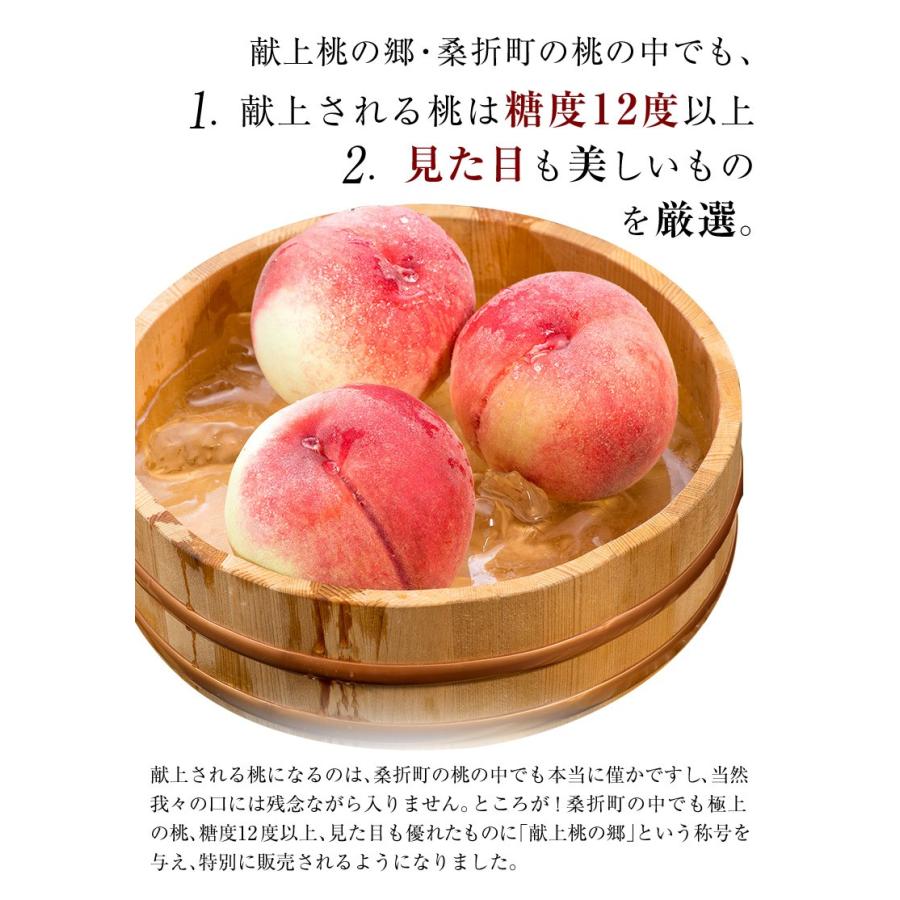 献上桃の郷 福島県桑折町産 特選 「雅」 約1.5kg（5〜6玉）※常温 JA