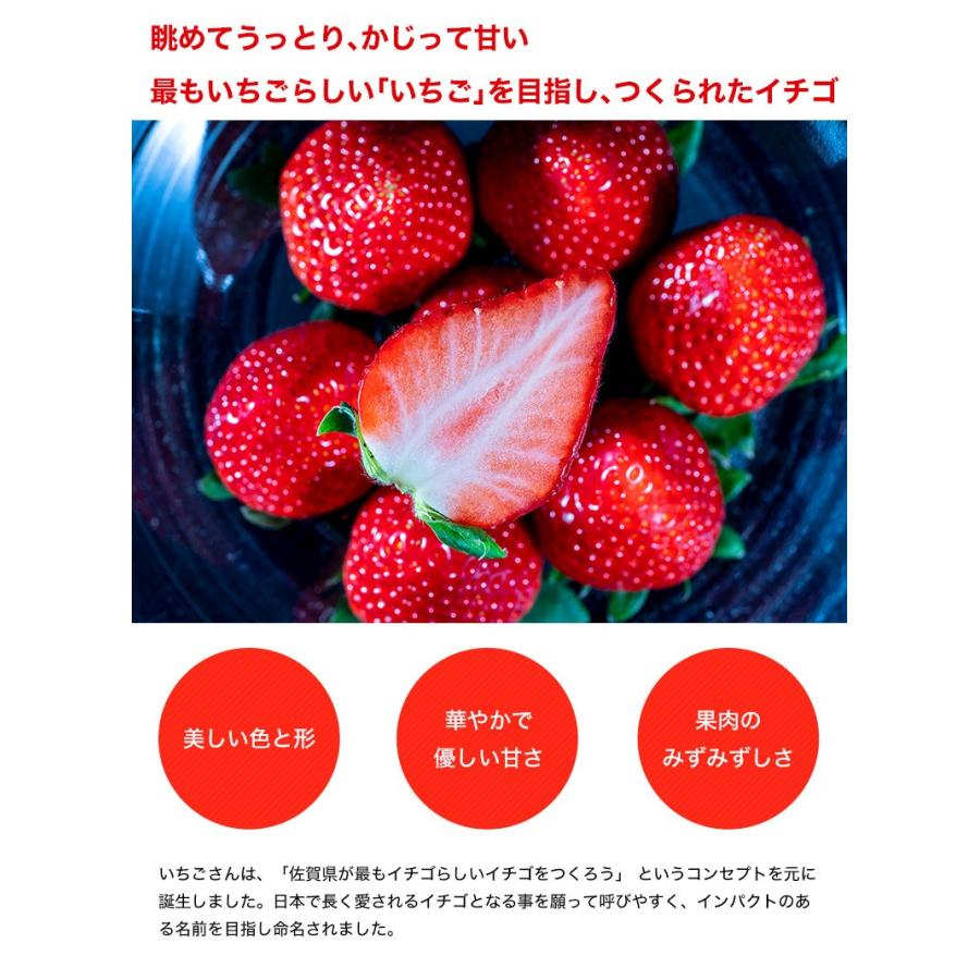 いちごさん 佐賀県産イチゴ 大粒5lサイズ 約240g 4 7粒 2パック 冷蔵 送料無料 4b 豊洲からの直送便 ヤフー店 通販 Yahoo ショッピング