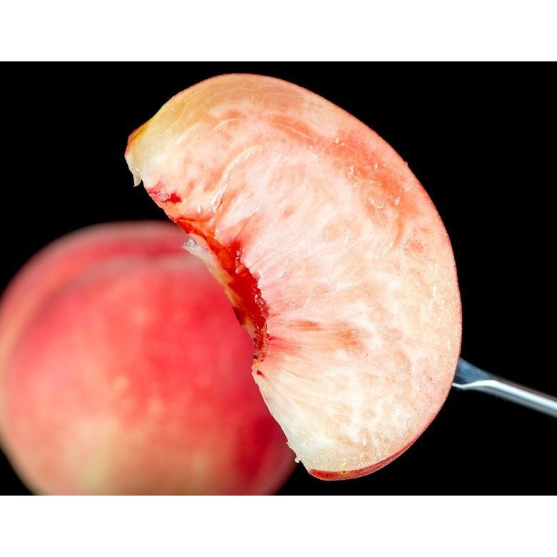 らきもも 福島県産 桃 特秀品 風袋込 約1.6kg（5〜8玉）※常温 JA