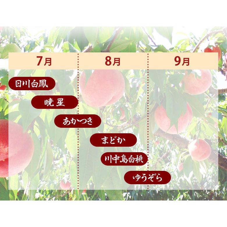希少品種!! 「マイハート」 特秀 11房5キロ JAふくしま未来 らきもも 福島県産 桃 特秀品 風袋込 約1.6kg（5〜8玉）※常温 JA