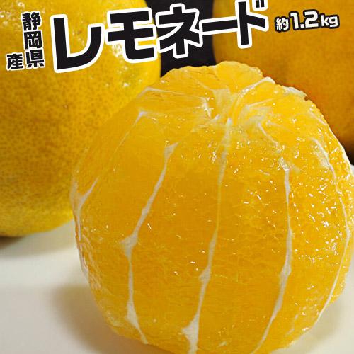 甘いレモン 柑橘 静岡県産 レモネード 約1.2kg 2S〜2Lサイズ 甘いレモン 柑橘 静岡県産 レモネード 約1.2kg 2S〜2Lサイズ