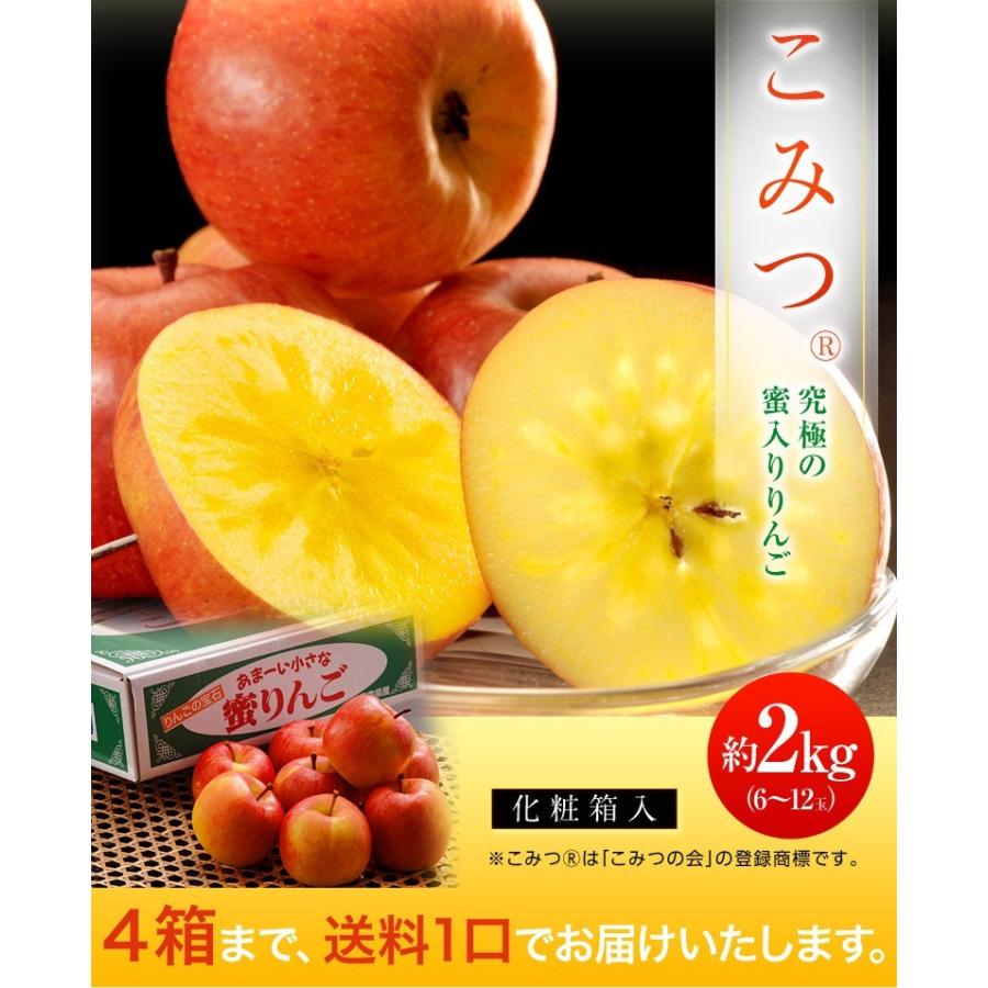 【カード又は代引き限定】特選品  『こみつ』 蜜入り りんご 青森県石川地区産 約2kg (6〜12玉)  ※常温 送料無料 リンゴ 林檎 こうとく｜tsukijiichiba｜02