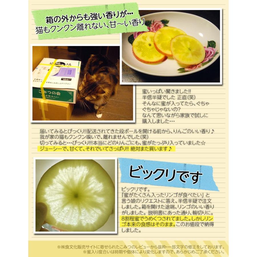 青森産こうとくりんご10kg！蜜入り！ りんご 青森県 蜜だらけりんご ”こみつ” 訳あり 大きさおまかせ 約10kg