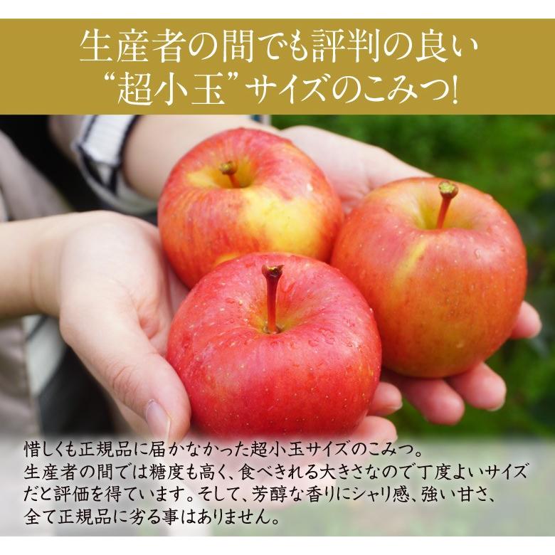 超小玉 こみつ 青森県産りんご 約1.8kg 13玉 産地箱 ※常温 : 豊洲から