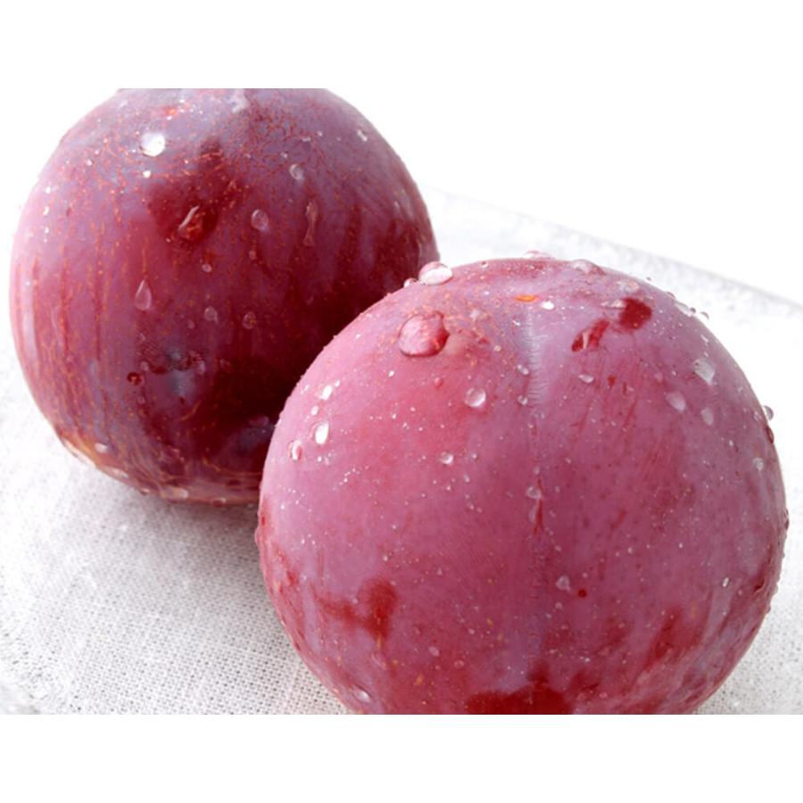 貴陽 きよう プラム 山梨県産 秀品 約1 8kg 8 10玉 冷蔵 送料無料 4c 豊洲からの直送便 ヤフー店 通販 Yahoo ショッピング