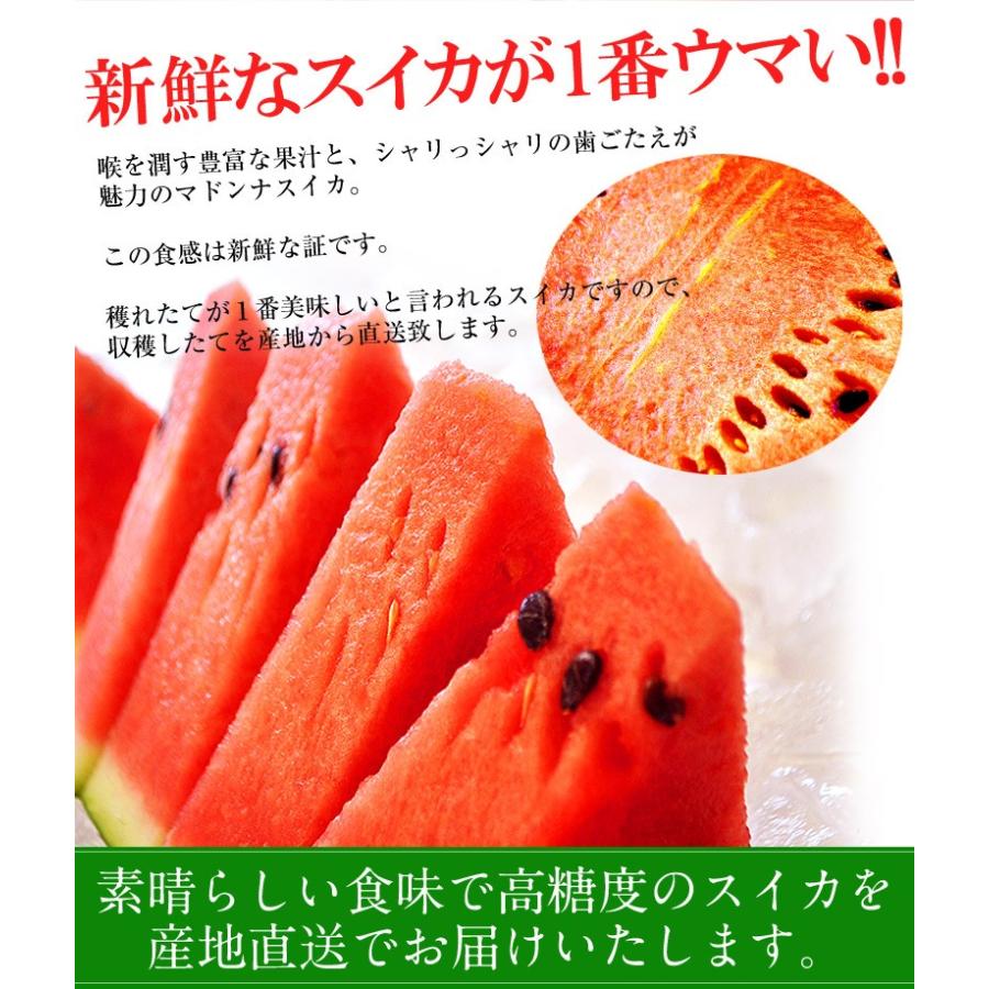 すいか スイカ 西瓜 北海道富良野産 マドンナすいか 3lサイズ 7kg 以上 送料無料 4c 豊洲からの直送便 ヤフー店 通販 Yahoo ショッピング