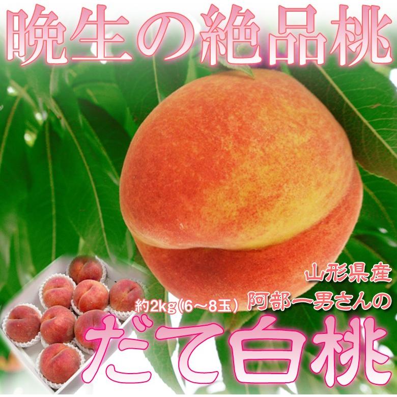 もも 桃 モモ 山形県産 阿部さんの だて白桃 6〜8玉 約2キロ 送料無料 常温 産地直送｜tsukijiichiba｜02