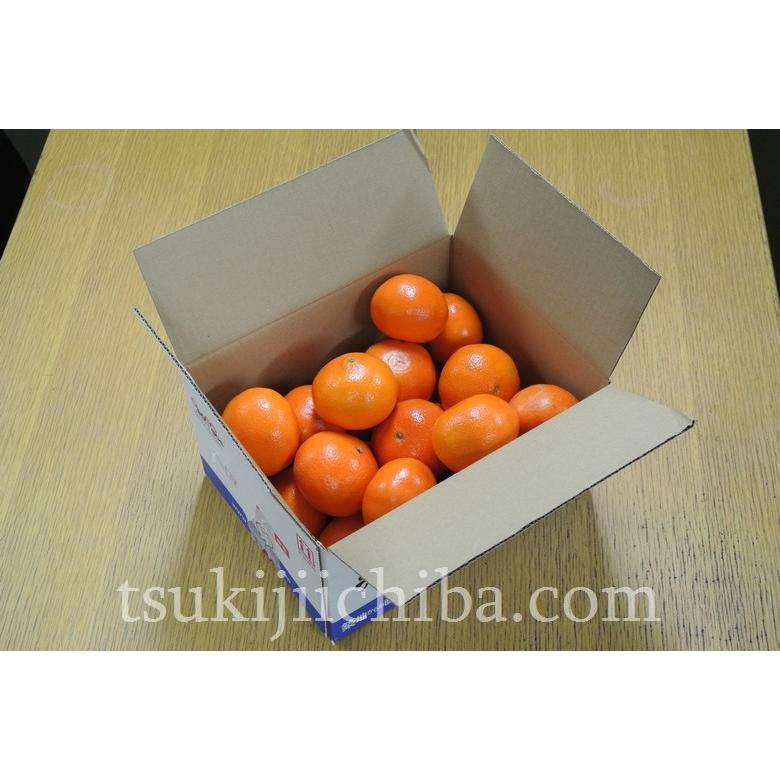 送料無料》オーストラリア産 マンダリンオレンジ 約2キロ ※常温 frt