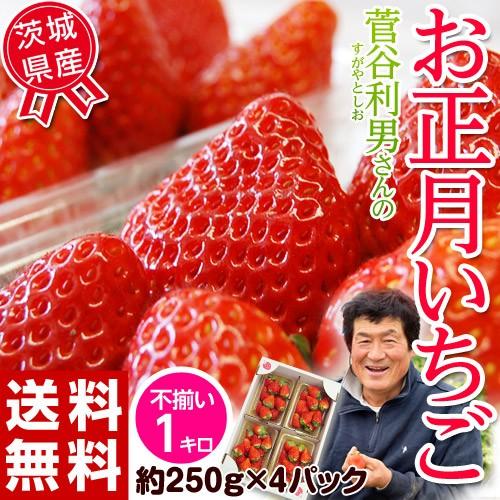 送料無料 茨城産 菅谷利男さんのいちご　お正月特別出荷　約250g×4パック約1キロ　※冷蔵｜tsukijiichiba