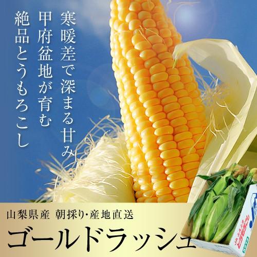 産地直送 ゴールドラッシュ 山梨県産 とうもろこし JAふえふき 2L