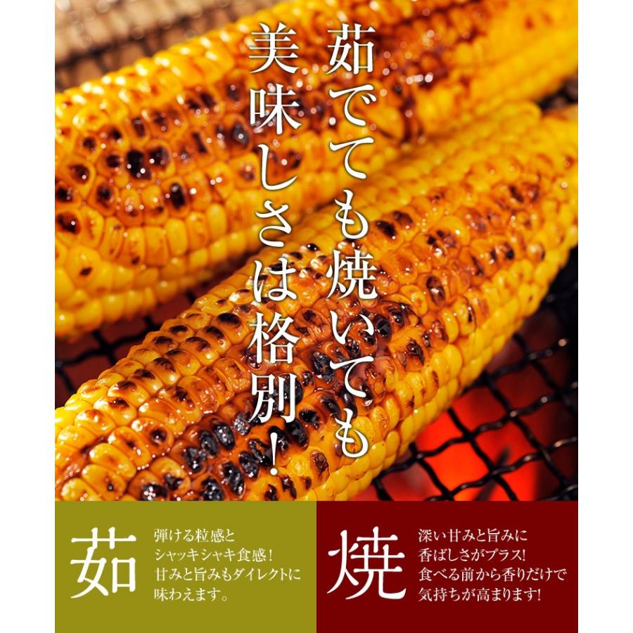 産地直送 ゴールドラッシュ 山梨県産 とうもろこし JAふえふき 2L