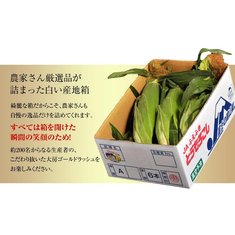 産地直送 ゴールドラッシュ 山梨県産 とうもろこし JAふえふき 2L