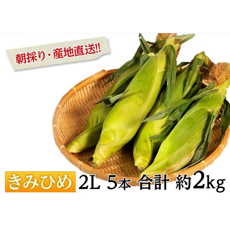 小林智斉さんの きみひめ 山梨県産 とうもろこし 5本前後 約2kg ※冷蔵 