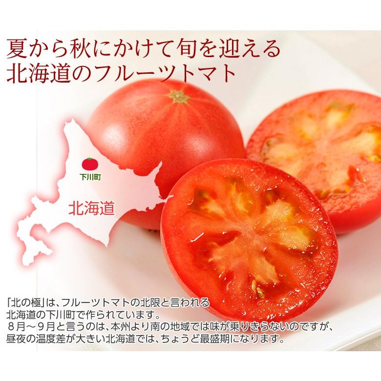 北の極 フルーツトマト』 北海道・下川町産 約700g(6〜12玉) ※冷蔵