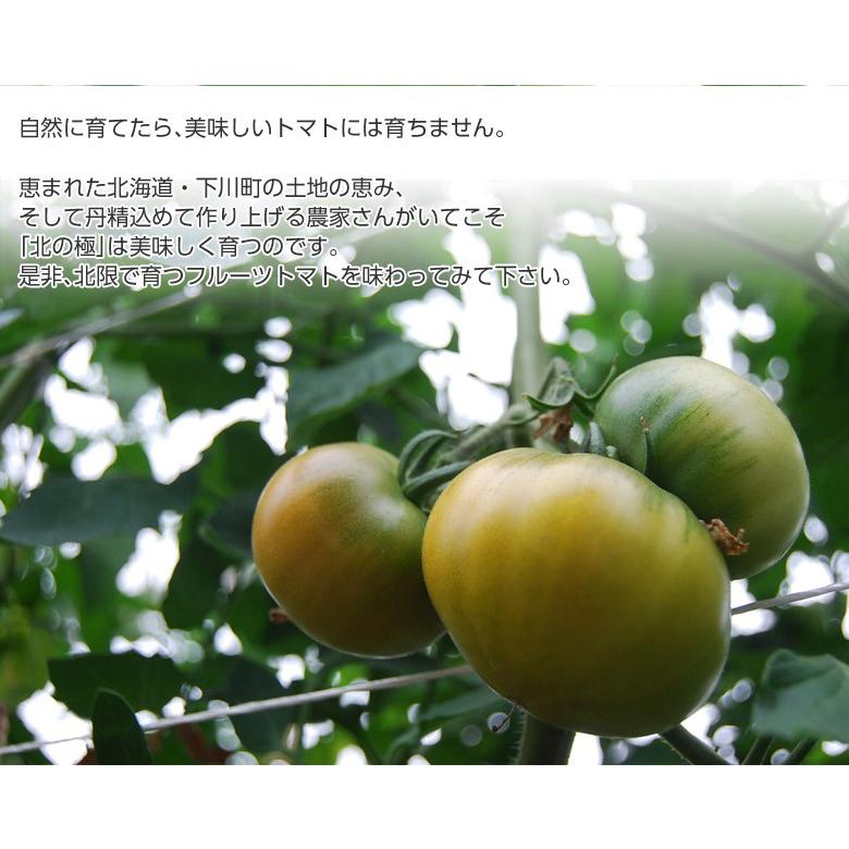 北の極 フルーツトマト』 北海道・下川町産 約700g(6〜12玉) ※冷蔵