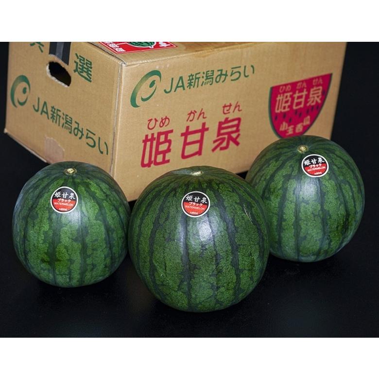 『姫甘泉ブラック』新潟県産 小玉すいか 秀品3玉(1玉あたり約3kg) ※常温 送料無料｜tsukijiichiba｜02