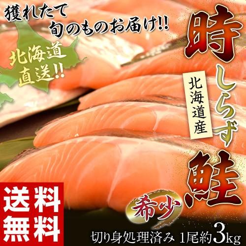 送料無料 北海道から直送 生 時鮭 1尾 2 5kg Sea 冷蔵 下処理済み 誠実 下処理済み
