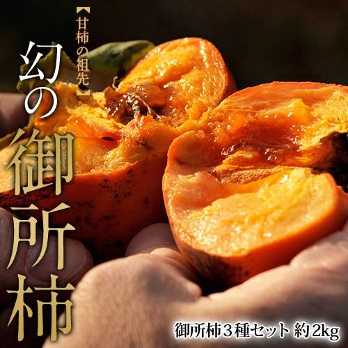 御所柿3種食べ比べセット 奈良県産 約2kg（目安として9〜12玉、本御所