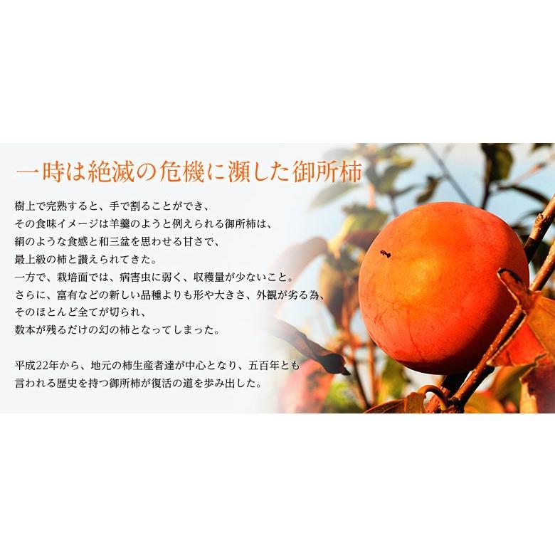 御所柿3種食べ比べセット 奈良県産 約2kg（目安として9〜12玉、本御所