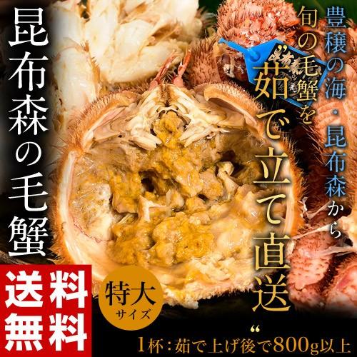 ≪送料無料≫茹でたて産直！　北海道・昆布森産　浜茹で毛ガニ　特大サイズ　1尾(800g〜900g)　※冷蔵　☆｜tsukijiichiba