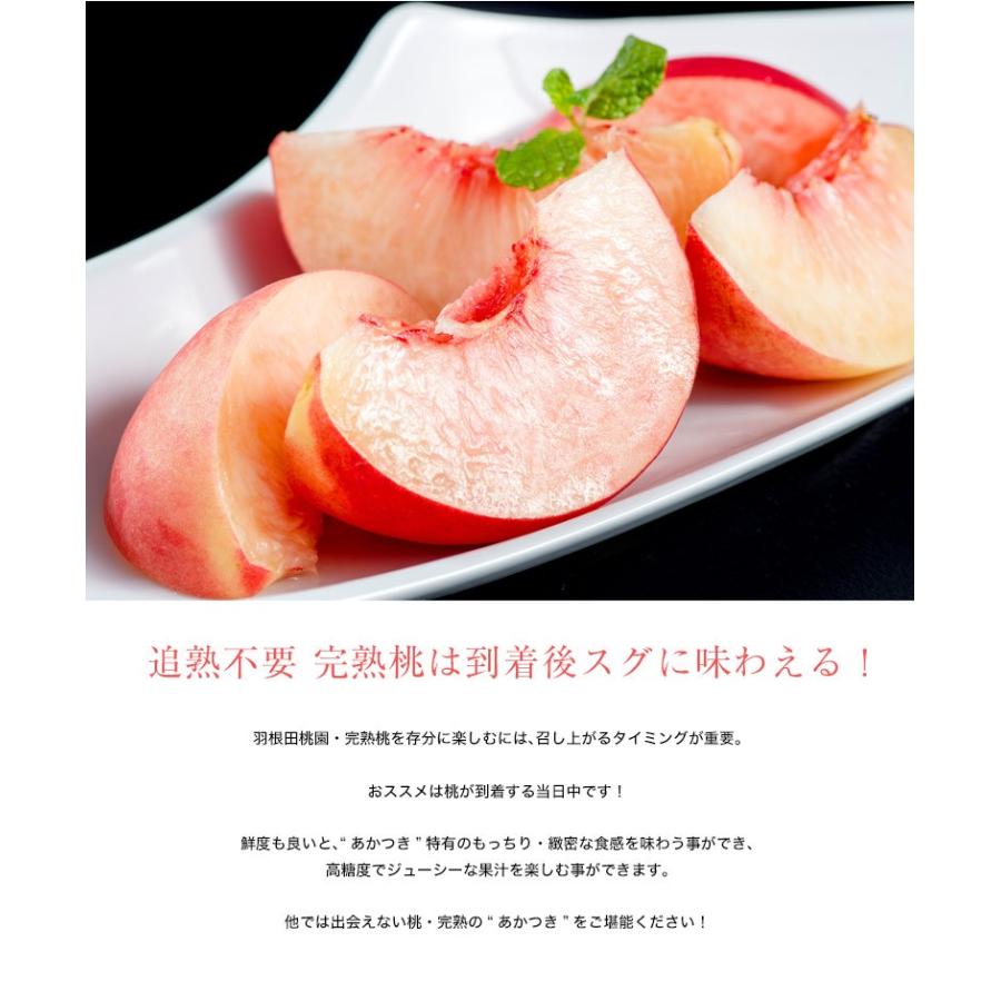 羽根田さんの完熟桃 糖度14度以上 品種限定 あかつき 特秀品 約2kg 大玉6玉 福島県 桑折町産 常温 産地直送 送料無料 4z 豊洲からの直送便 ヤフー店 通販 Yahoo ショッピング
