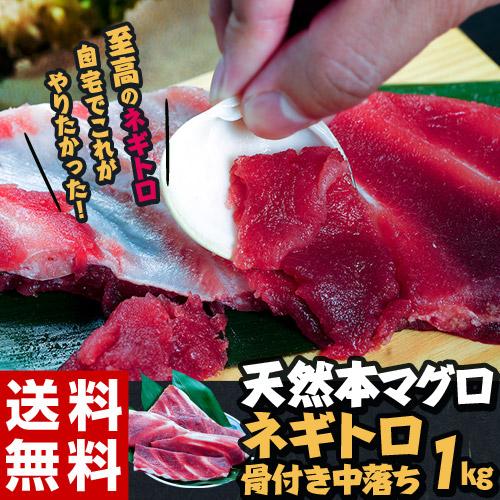 クロマグロ くろまぐろ 鮪 天然本マグロ ネギトロ 骨付き中落ち 1キロ 可食部500g以上 送料無料 冷凍 産地直送 4z 豊洲からの直送便 ヤフー店 通販 Yahoo ショッピング