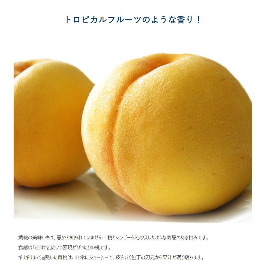 『伊達の黄桃』 福島県産 秀品 約1.5kg （5〜8玉）×1箱 産地箱 ※常温 送料無料 ふくしまプライド。体感キャンペーン（果物/野菜）｜tsukijiichiba｜03