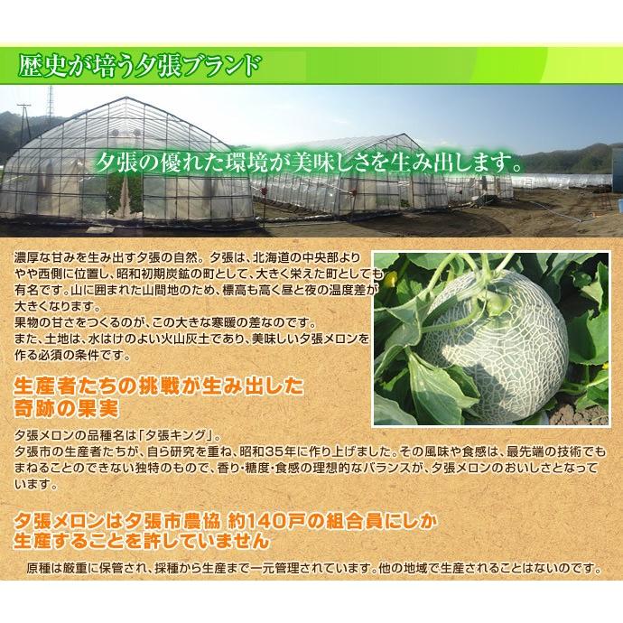 夕張メロン 等級 優 約1 6kg 1玉 専用箱入 北海道 夕張市農協検査場発 常温 送料無料 5a 豊洲からの直送便 ヤフー店 通販 Yahoo ショッピング