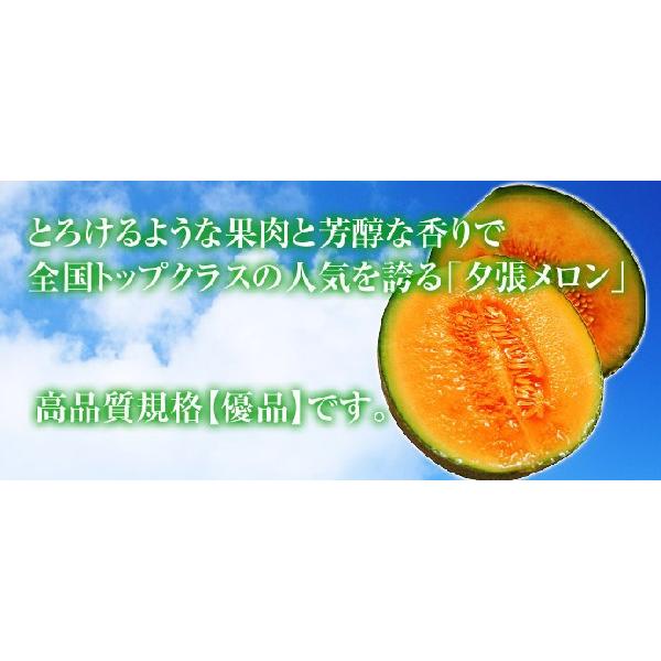 大玉 夕張メロン 北海道産 優品 1玉 約1.6kg 専用箱入 夕張市農協検査
