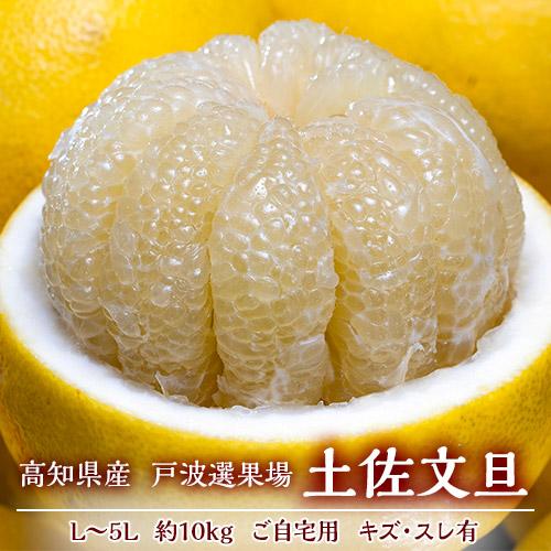 食品 文旦 みかん 柑橘 98