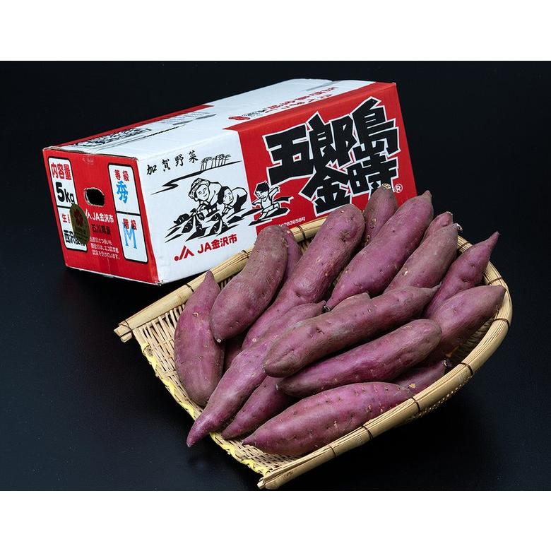 『五郎島金時』石川県産さつまいも 秀品 約5kg（目安として18〜22本）※常温 送料無料　 | 