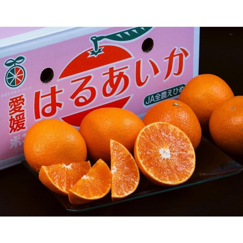 あいか果冻橙5k g*2箱 新品種 はるあいか 愛媛県産 柑橘 S〜4L 約2.4kg 簡易箱 ※常温 送料