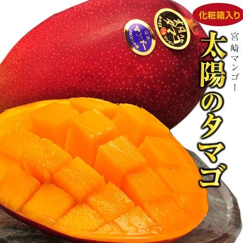 超大玉 太陽のタマゴ みやざき完熟マンゴー 宮崎県産 3〜4L 2玉 （1玉