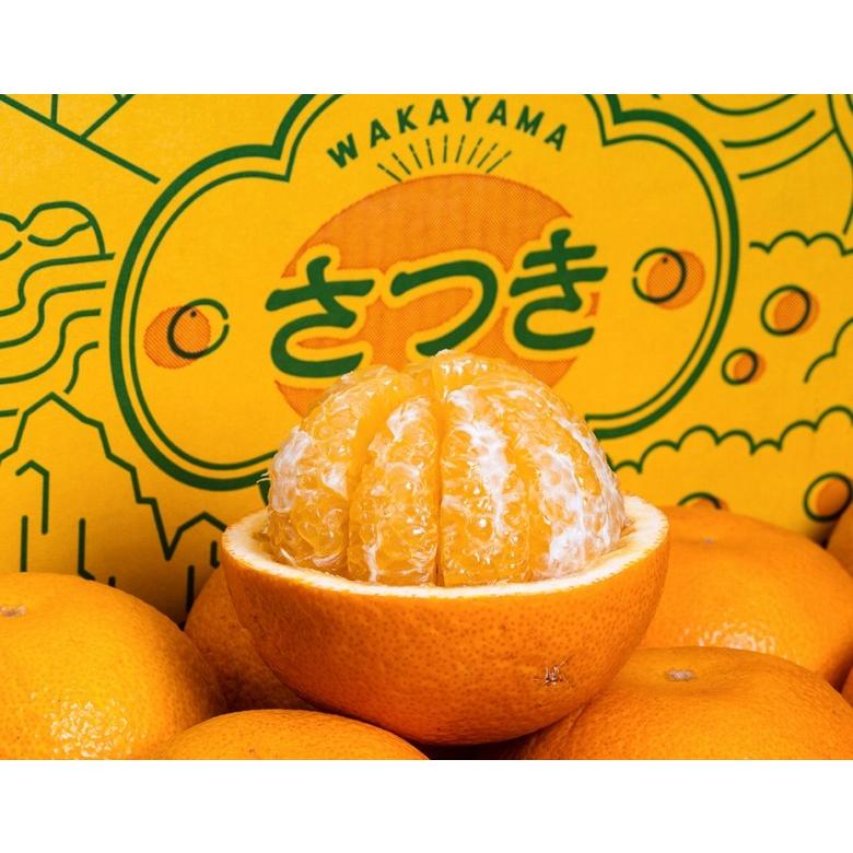 さつき八朔』和歌山県産 柑橘 L〜4L 9〜10kg 産地箱 風袋込 キズ・スレ
