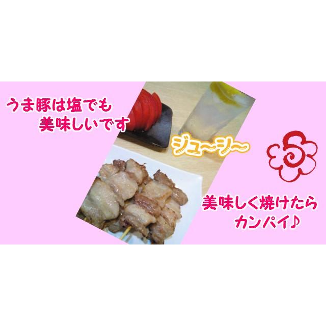冷凍生肉 うま豚串（たれ別添） :2006:つきぢや - 通販 - Yahoo!ショッピング