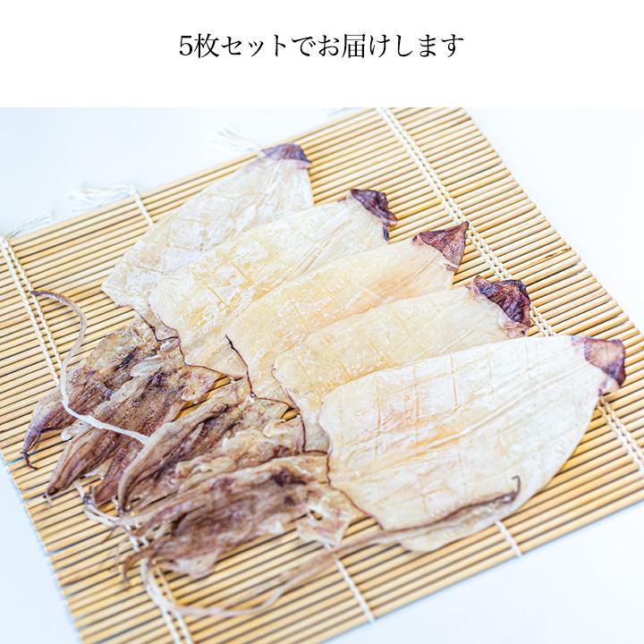 剣先スルメ　5枚入　約147g 、約152g 、約158g 、約162g 楽天市場】【送料無料 剣先するめ S / 5枚 】小剣 剣先 するめ S