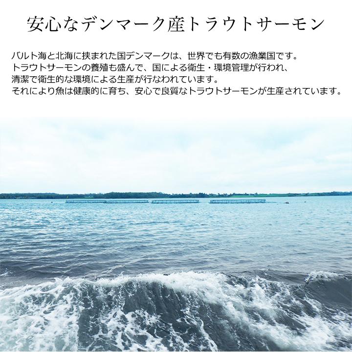 送料無料 2個で1,000円OFFクーポンあり! スモークサーモン 50g×20パック(1000g)小分け 国内加工 トラウト お得用 ギフト|tsukijiyamaichi|02