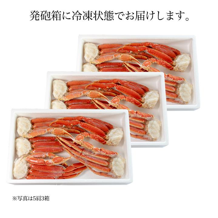送料無料 厳選 ズワイガニボイル セクション 15肩から18肩入り 約4.5kg