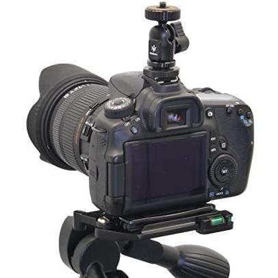 Yahoo ショッピング Paypayポイントがもらえる ネット通販