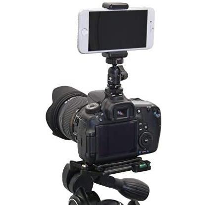 Yahoo ショッピング Paypayポイントがもらえる ネット通販