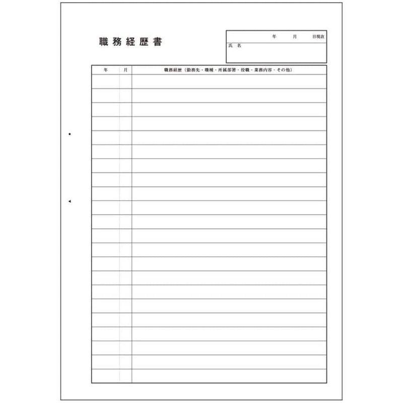 独創的 アピカ 転職者用履歴書用紙 Sy29t B5 見開きb4 10枚 封筒なし Shipsctc Org